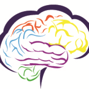 Breinvriendelijk Trainen - Thuisstudie + live 3 daagse najaar 2018 + persoonlijke coaching